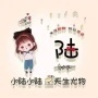 手柄按键师