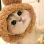 数值解密师