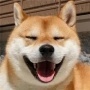 解谜小智