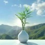 像素记忆体