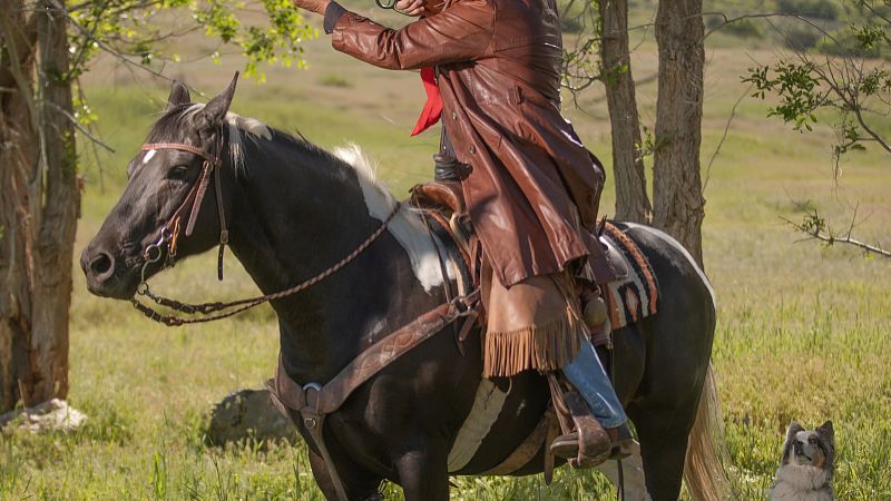 骑马与砍杀2霸主新手前期攻略：5分钟掌握开荒核心技巧-3