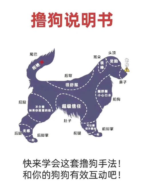 三男一狗5线上模式新手必看:5分钟快速上手指南-2 三男一狗5线上模式新手必看:5分钟快速上手指南-2