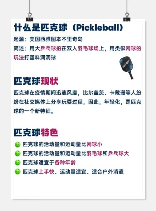 零基础入门Peak必看！5个技巧让你快速上手不迷茫-3
