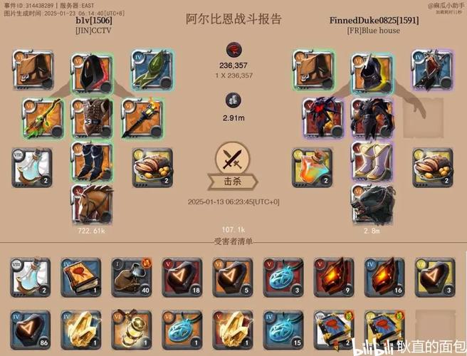阿尔比恩OL全武器PVP攻略：竞技场最强技能搭配与实战打法详解-3