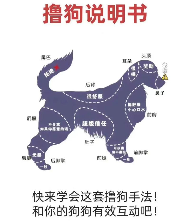 零基础必看!《三男一狗5》新手5分钟快速上手指南,开局就玩得爽-3 零基础必看!《三男一狗5》新手5分钟快速上手指南,开局就玩得爽-3