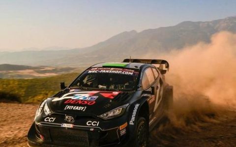 WRC11全赛事通关攻略与多人模式进阶技巧详解