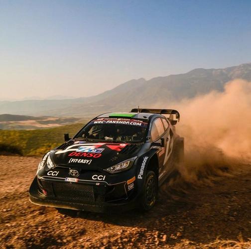 WRC11全赛事通关攻略与多人模式进阶技巧详解-1