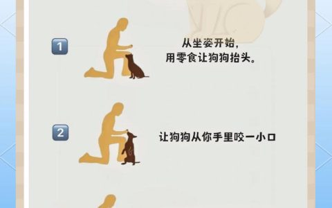 零基础必看！《三男一狗5》新手5分钟快速上手指南，开局就玩得爽