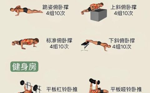 UFC5生涯模式训练与体重管理全攻略，轻松打造不败冠军