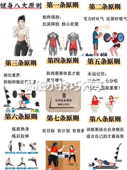 UFC5生涯模式训练与体重管理全攻略,轻松打造不败冠军-3 UFC5生涯模式训练与体重管理全攻略,轻松打造不败冠军-3