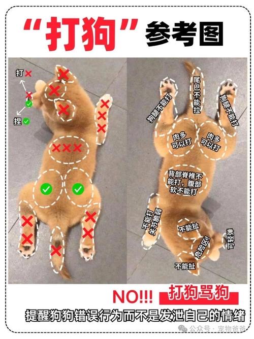 零基础必看!《三男一狗5》新手5分钟快速上手指南,开局就玩得爽-2 零基础必看!《三男一狗5》新手5分钟快速上手指南,开局就玩得爽-2