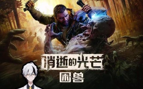 《消逝的光芒：野兽》夜间猎手应对全攻略，5个技巧守住安全区