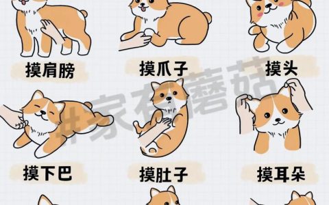 三男一狗5线上模式新手必看：5分钟快速上手指南