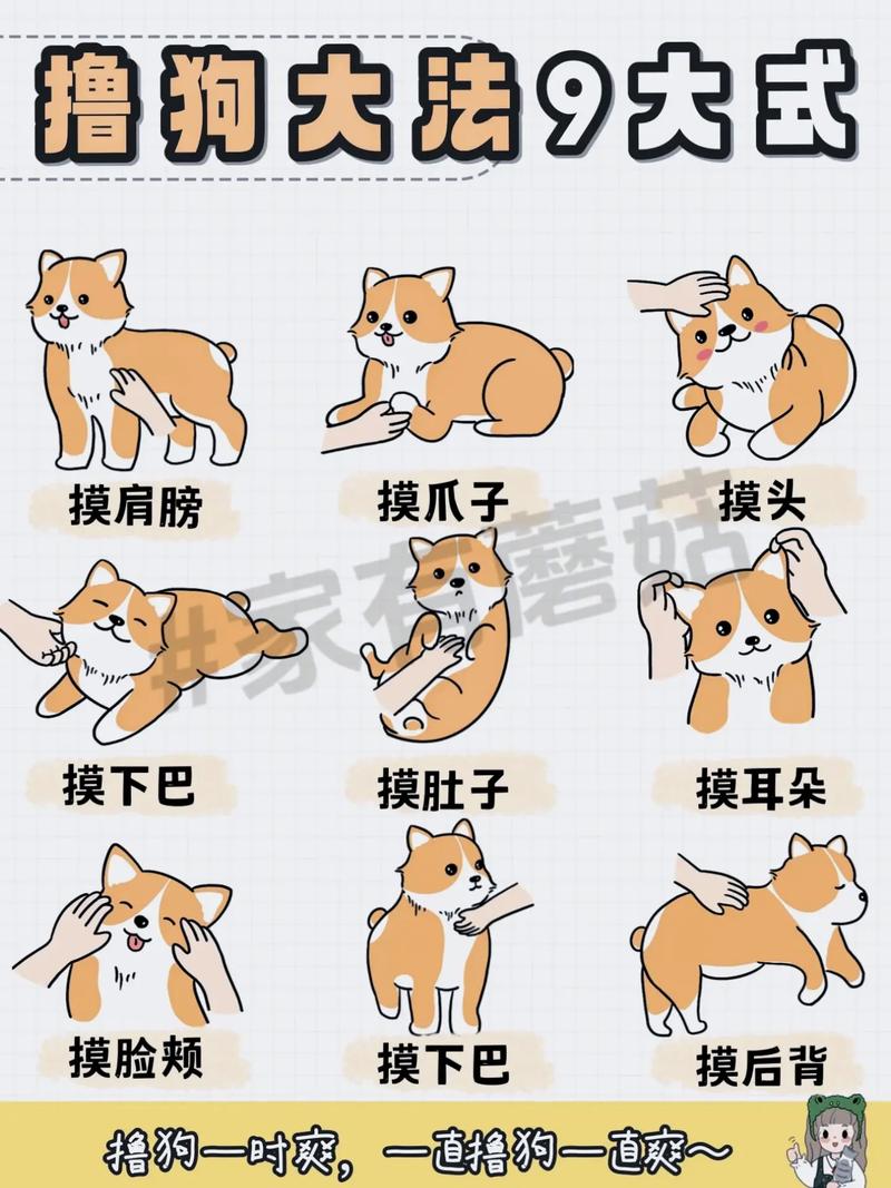 三男一狗5线上模式新手必看:5分钟快速上手指南-1 三男一狗5线上模式新手必看:5分钟快速上手指南-1