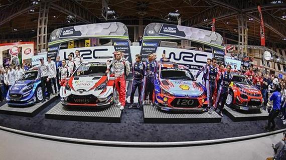 WRC10全赛事通关攻略：车队管理技巧助你轻松夺冠-2