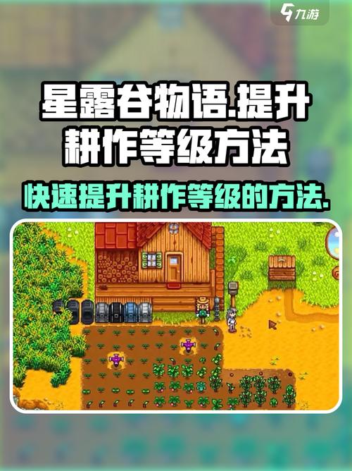 星露谷物语第一年春季攻略：高效耕种与体力管理技巧，轻松开荒不踩坑-2