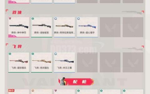 孤岛惊魂5全副手武器推荐：5套高效雇佣兵搭配速刷据点