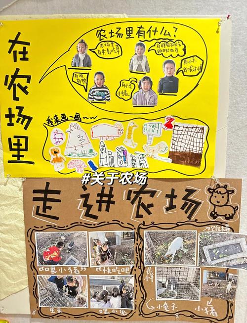 卡通农场新手必看：全作物种植与动物养殖高效技巧大全-3