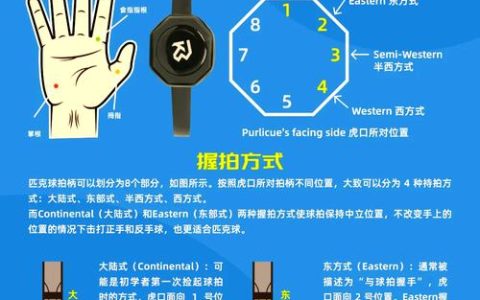 零基础入门Peak必看！5个技巧让你快速上手不迷茫