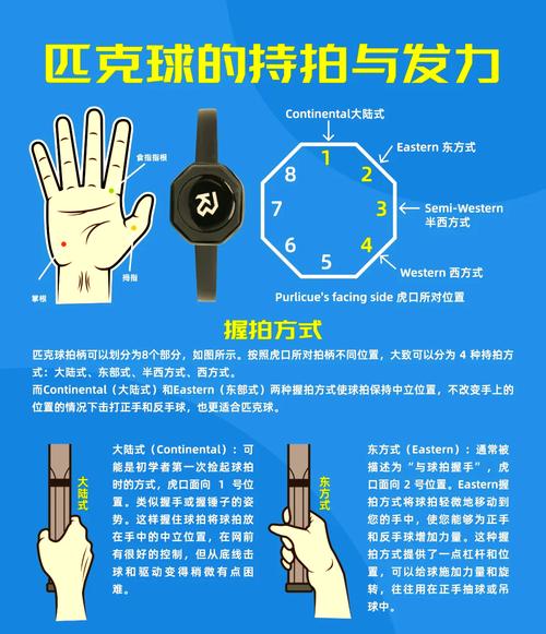 零基础入门Peak必看！5个技巧让你快速上手不迷茫-1