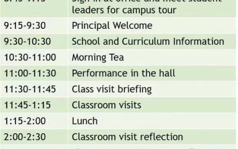 ScheduleI免费体验版全内容解锁攻略：3小时高效体验全流程
