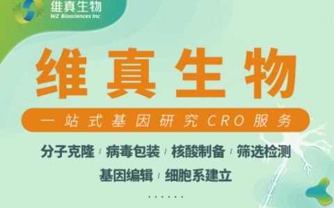 细胞分裂6：断罪 – 潜行暗杀动作单机游戏_资料大全