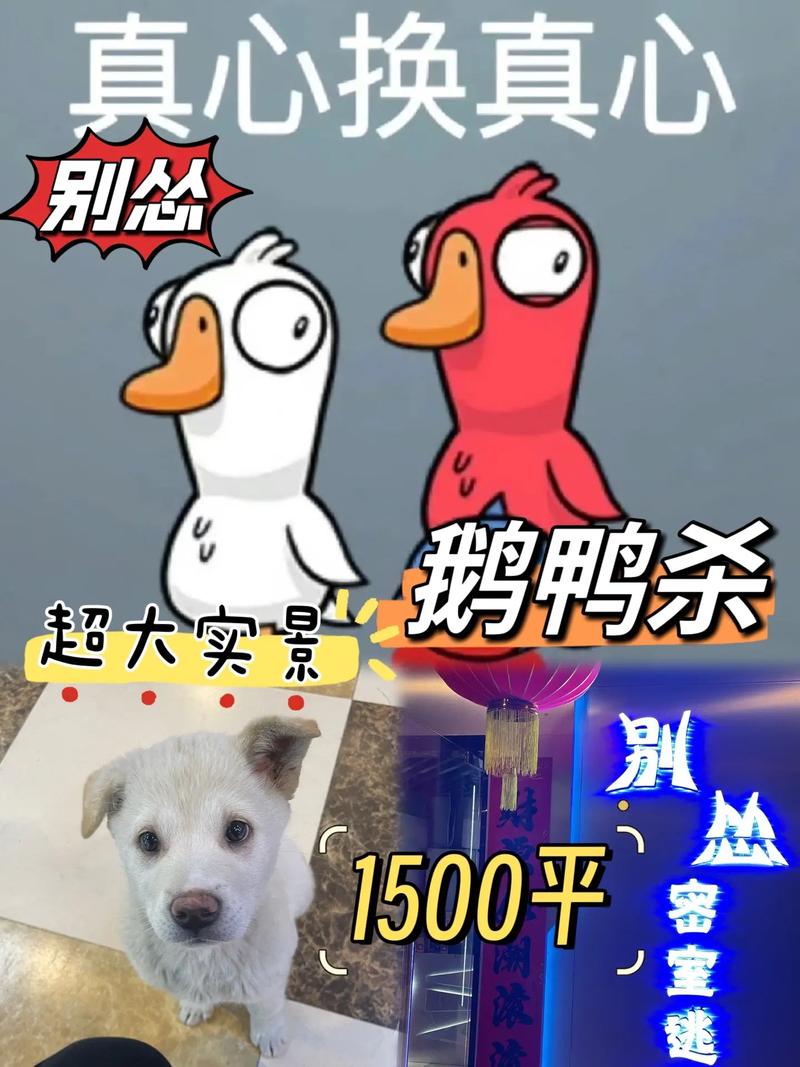 鹅鸭杀 - 社交推理狼人杀手游_资料大全-5 鹅鸭杀 - 社交推理狼人杀手游_资料大全-5