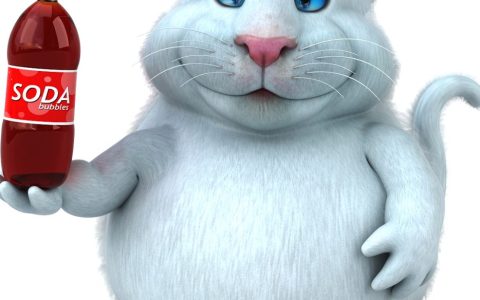 会说话的汤姆猫 – 虚拟宠物养成手游_资料库