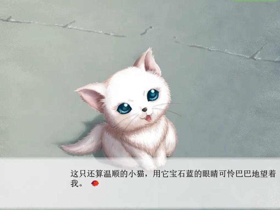 红楼梦：林黛玉与北静王 - 古典名著角色扮演单机游戏_资料库-4