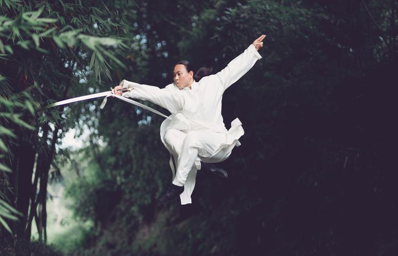 绝世好武功 - 武侠角色扮演单机游戏_资料库-4