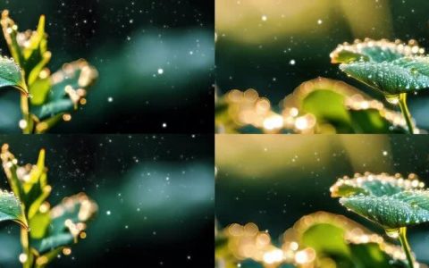 晨光初破 – 奇幻冒险角色扮演手游_资料大全