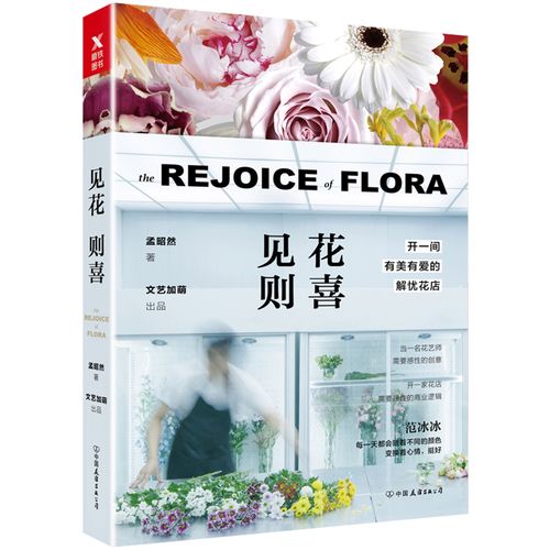 见 - 视觉解谜单机游戏_资料大全-4 见 - 视觉解谜单机游戏_资料大全-4