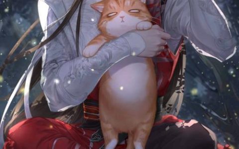 灵猫传 - 古风恋爱养成手游_资料库