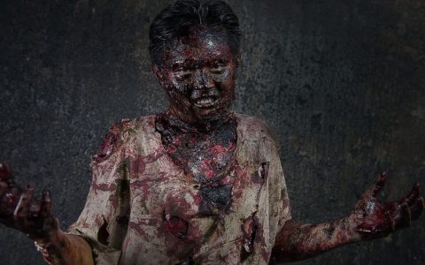 求生之路2 – 四人合作丧尸生存单机游戏_资料大全