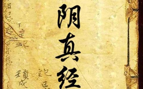 九阴真经 – 武侠角色扮演网游_资料大全