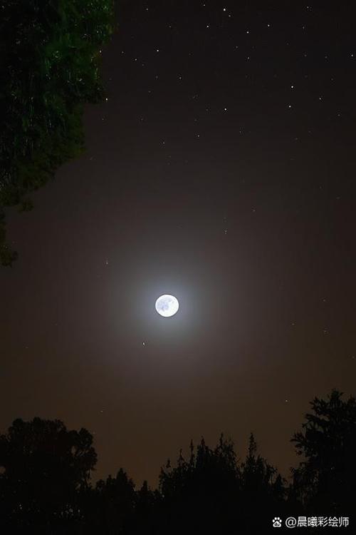 月圆之夜 - 卡牌构筑策略单机游戏_资料库-2 月圆之夜 - 卡牌构筑策略单机游戏_资料库-2