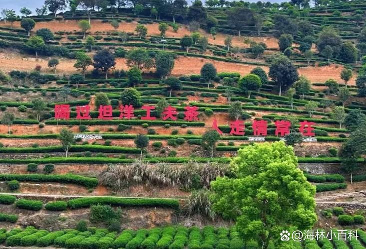 三竹里 - 科幻解谜冒险单机游戏_资料库-2 三竹里 - 科幻解谜冒险单机游戏_资料库-2
