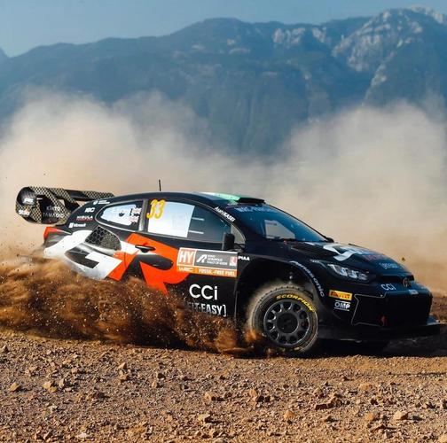 WRC 11 - 真实拉力竞速模拟游戏_资料合集-3