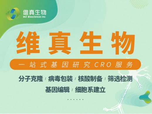 细胞分裂：黑名单 - 潜行战术动作单机游戏_资料合集-1