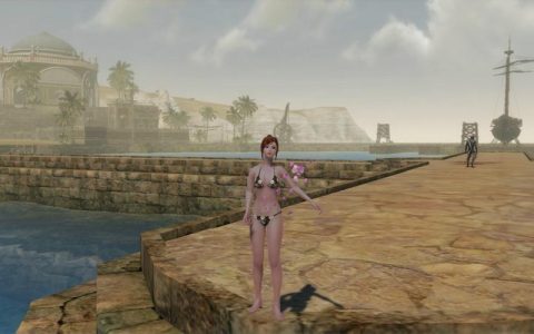 上古世纪 – 奇幻沙盒MMORPG网游_百科资料
