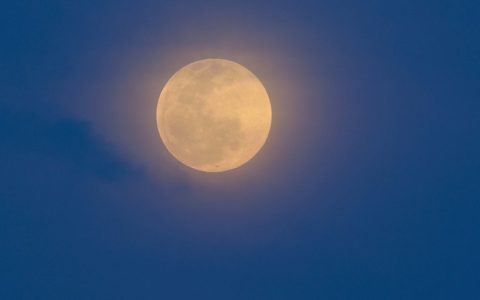 月圆之夜 – 卡牌构筑策略单机游戏_资料库
