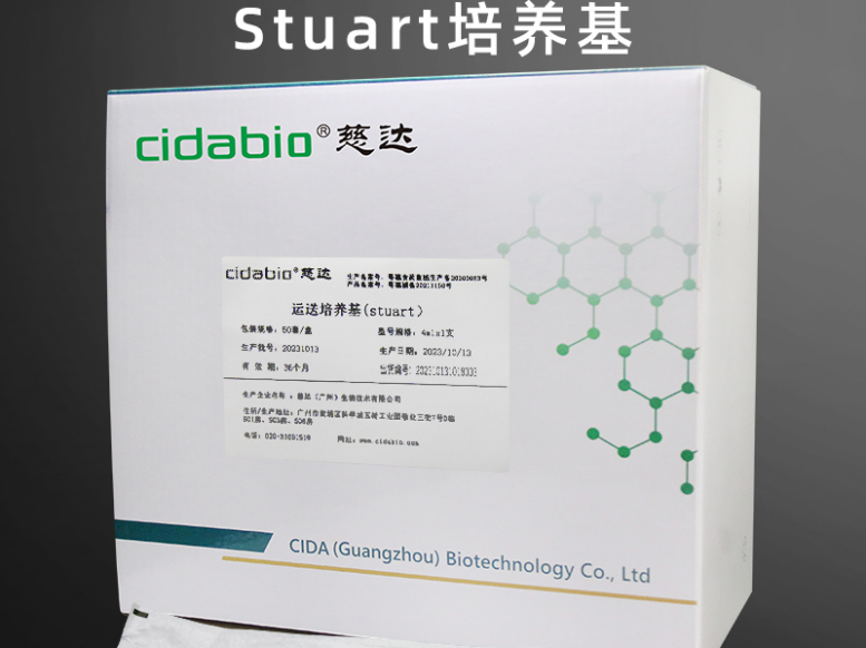 识质存在 - 哲学思辨文字冒险单机游戏_资料大全-1 识质存在 - 哲学思辨文字冒险单机游戏_资料大全-1