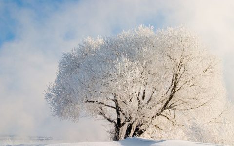暖雪 – 暗黑国风动作Roguelite手游_资料大全