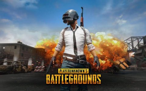 绝地求生 – 战术竞技射击网游_资料库
