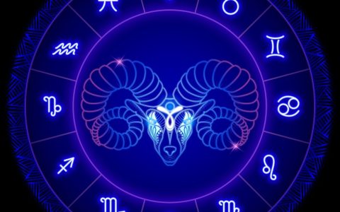 双子 – 双人合作解谜手游_资料大全