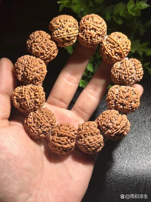 大金刚 - 经典平台跳跃单机游戏_资料库-1 大金刚 - 经典平台跳跃单机游戏_资料库-1