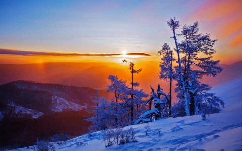 阳春白雪 – 国风音乐节奏手游_资料库