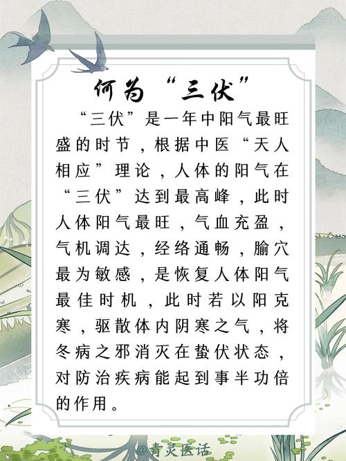三伏 - 中式悬疑解谜单机游戏_百科资料-4 三伏 - 中式悬疑解谜单机游戏_百科资料-4