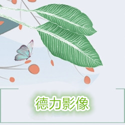 万手一体 - 恐怖解谜单机游戏_资料合集-1
