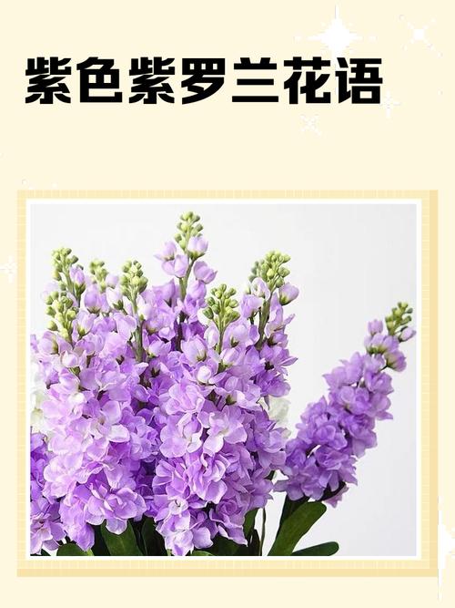 紫罗兰 - 二次元角色扮演手游_资料库-2 紫罗兰 - 二次元角色扮演手游_资料库-2